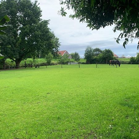 Luxury Guest House - Eik Aan De Dijk Aalst エクステリア 写真