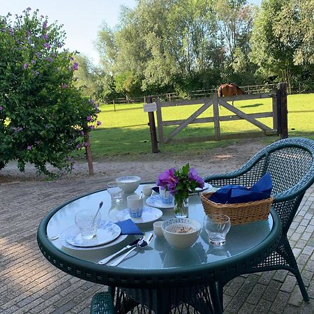 Luxury Guest House - Eik Aan De Dijk Aalst エクステリア 写真