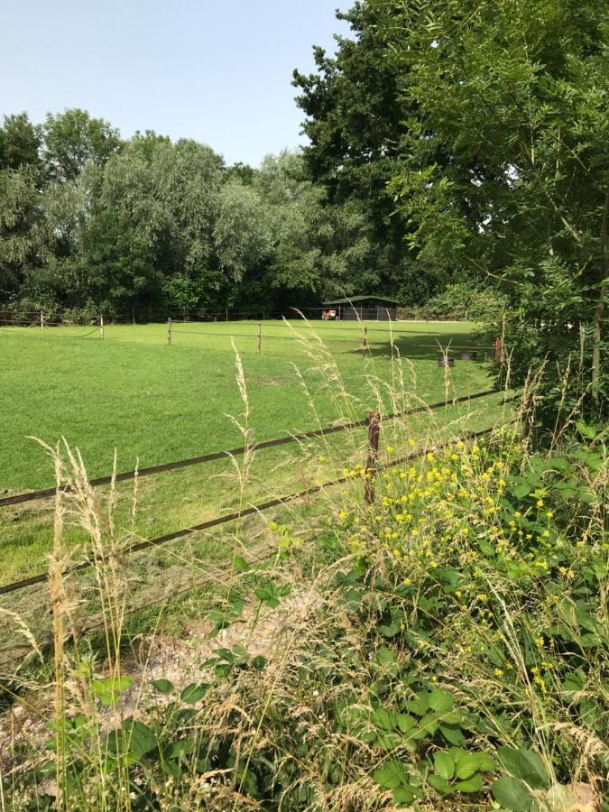 Luxury Guest House - Eik Aan De Dijk Aalst エクステリア 写真