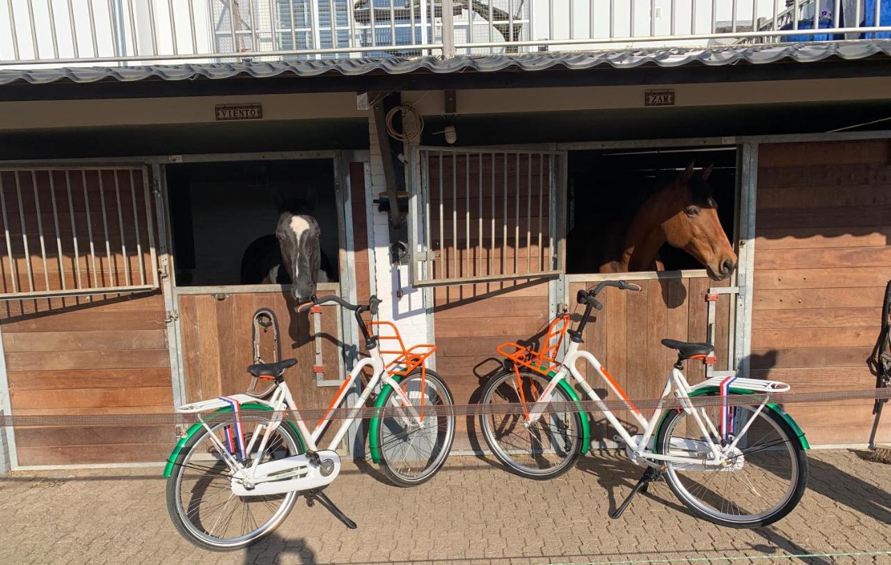Luxury Guest House - Eik Aan De Dijk Aalst エクステリア 写真