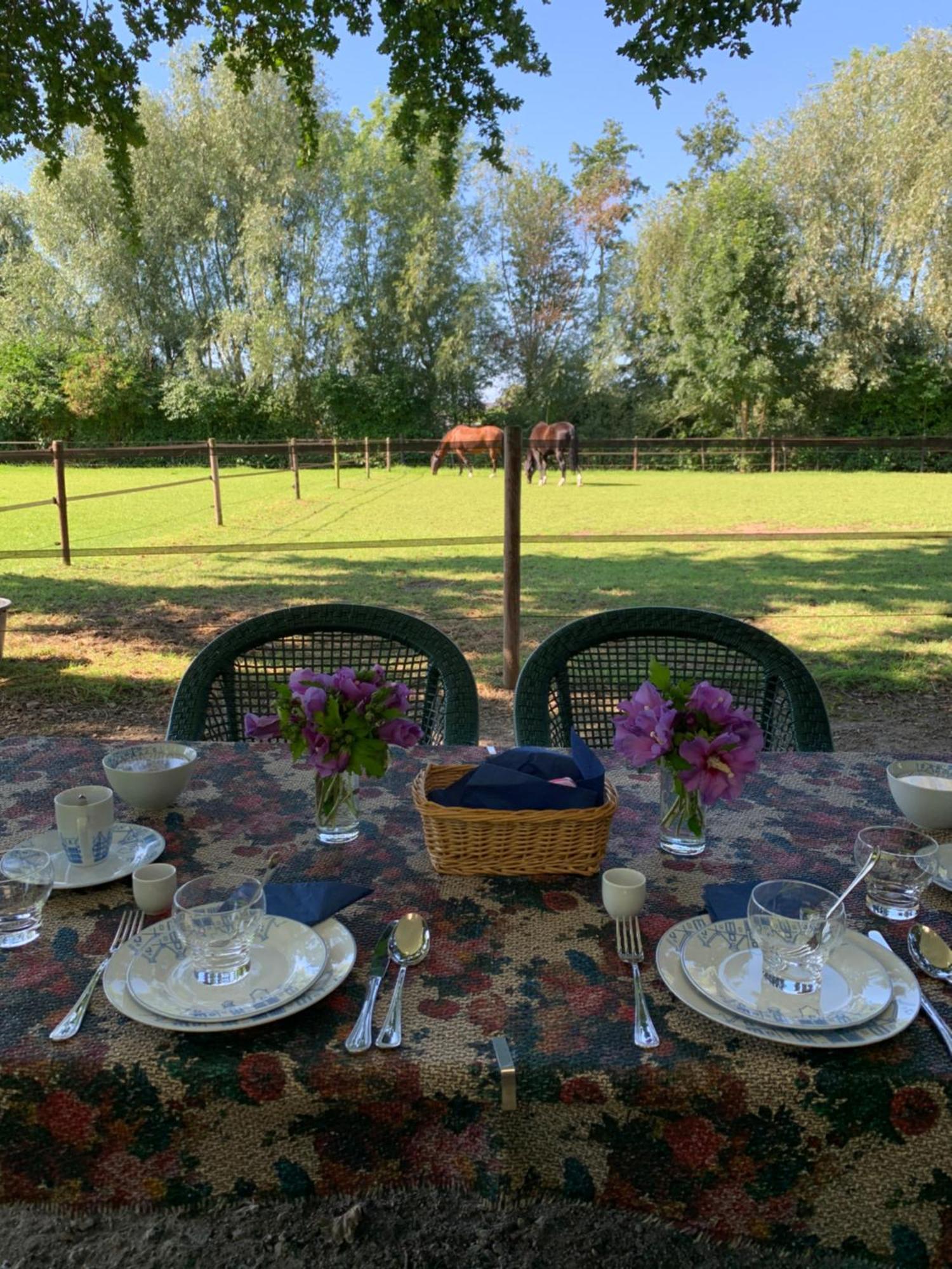 Luxury Guest House - Eik Aan De Dijk Aalst エクステリア 写真